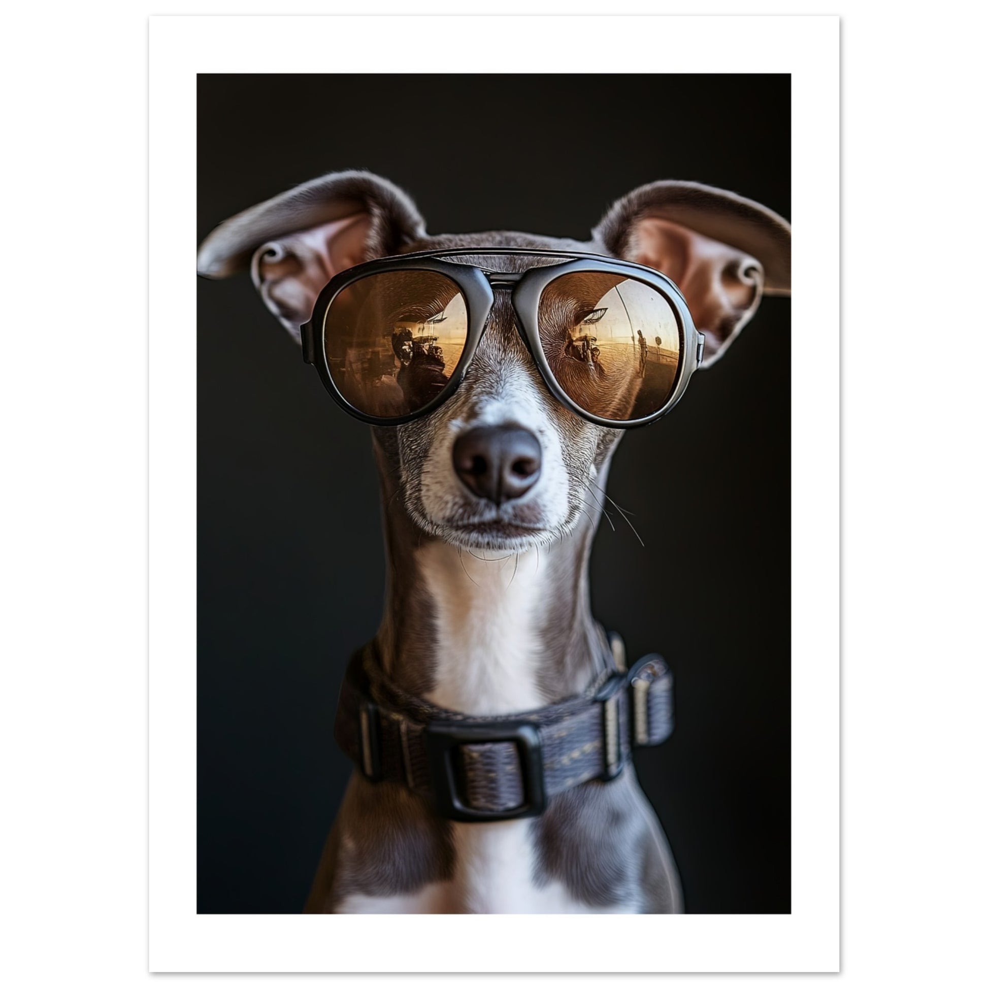 d22de345-358f-43fa-8158-3f8ff0b009b1