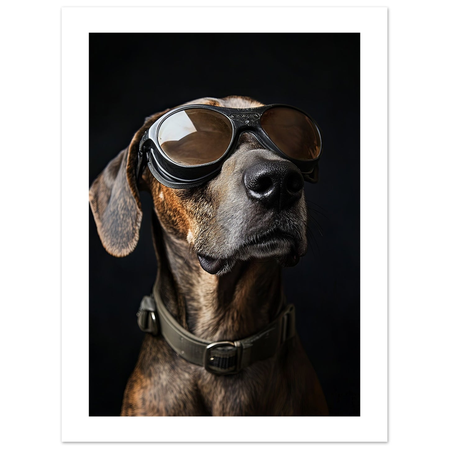 d3b86e00-d70c-497e-bacb-f3f00a747245