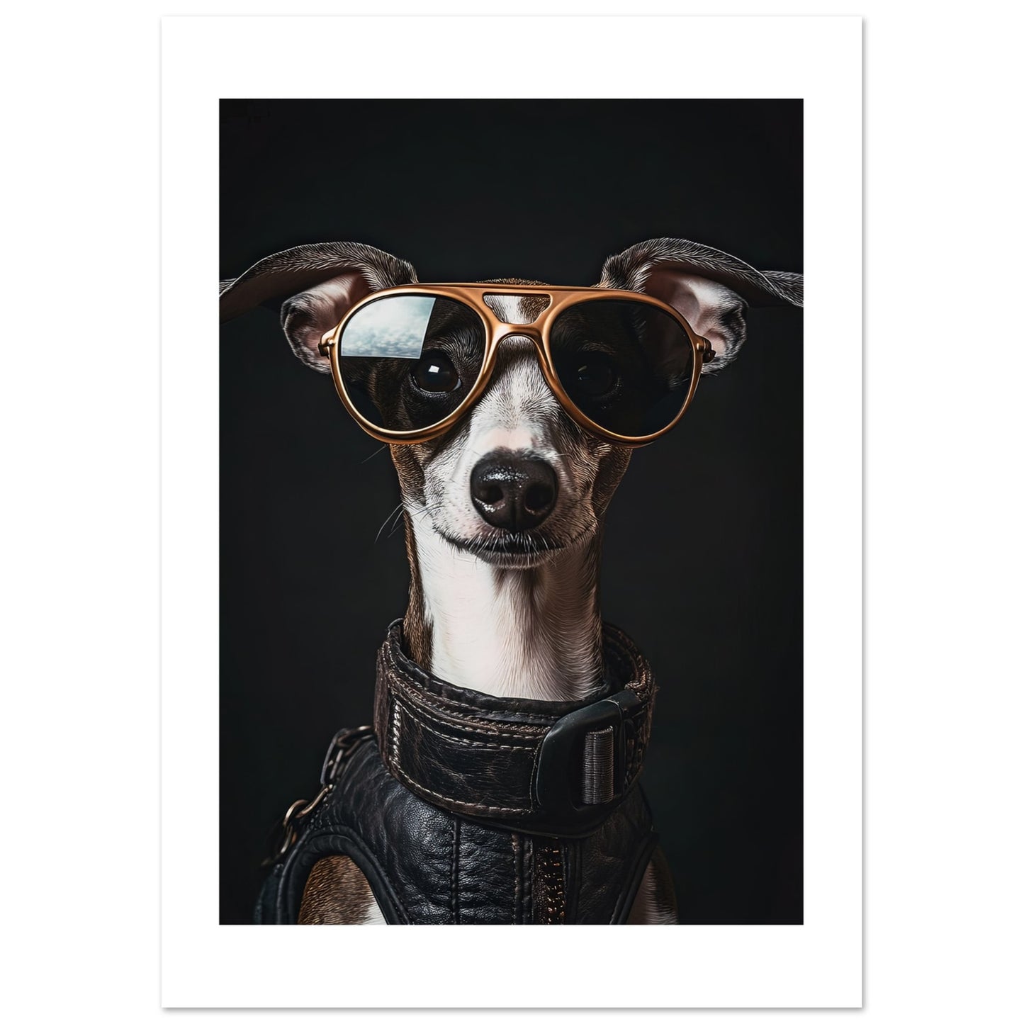 d49b0f2a-fff7-4e54-b583-3b77b2605570