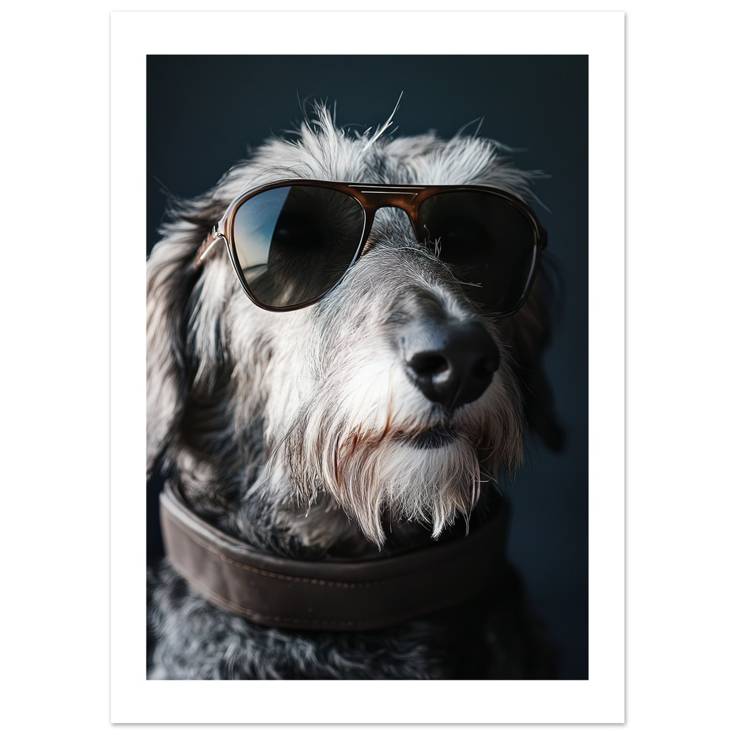 d658b05e-5508-4371-8b11-53d0ecc49720