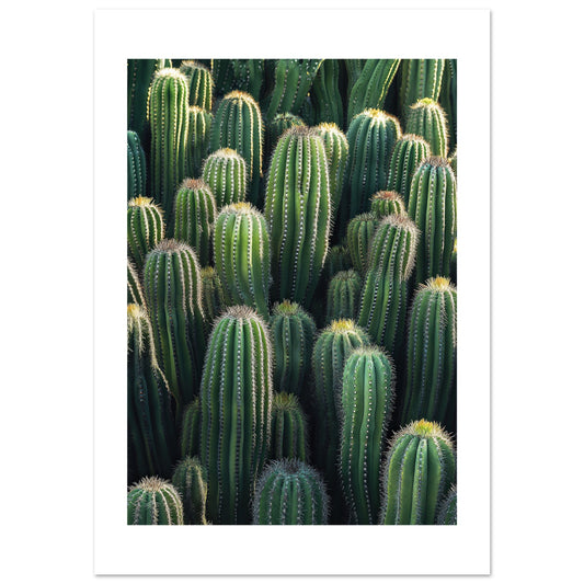 d7064645-9975-4427-81c2-9594c92205d5