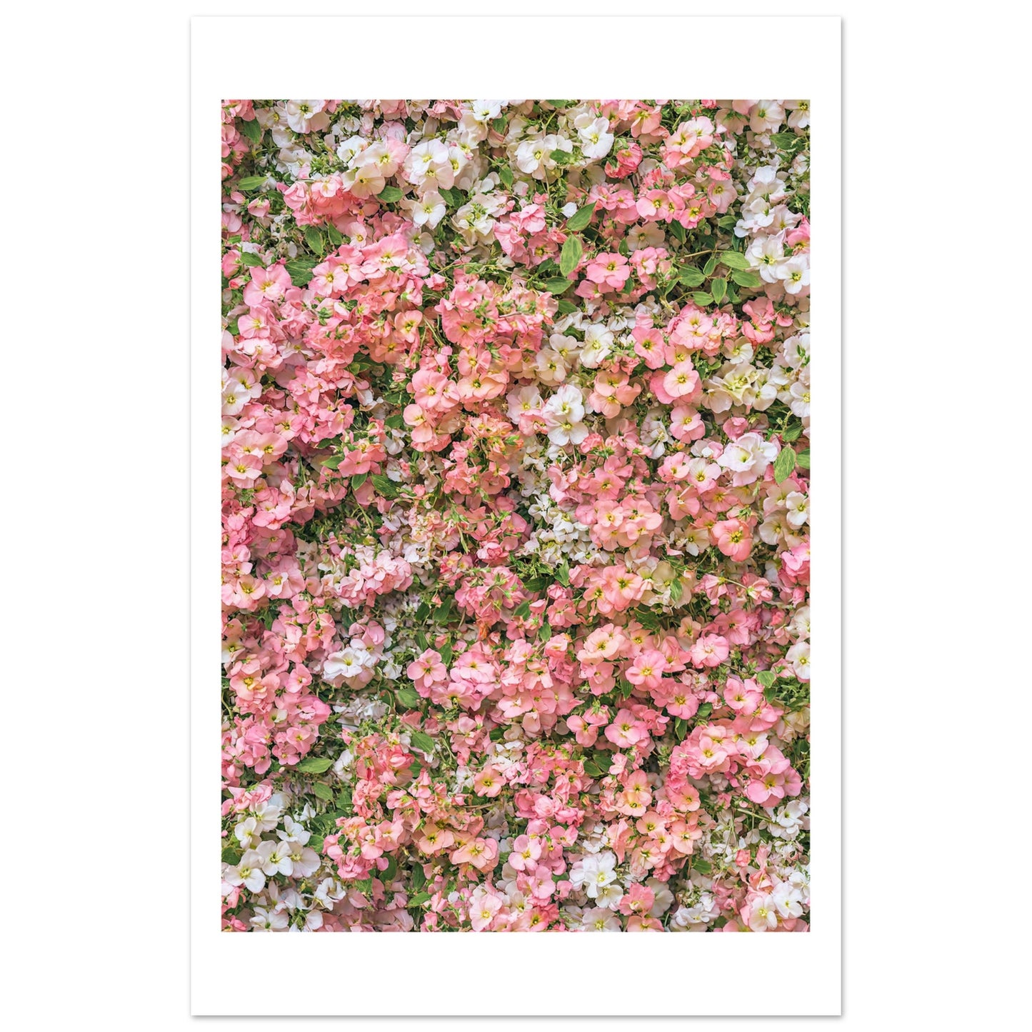 d710e5e5-07c4-4974-a3e3-96a94a369bdc