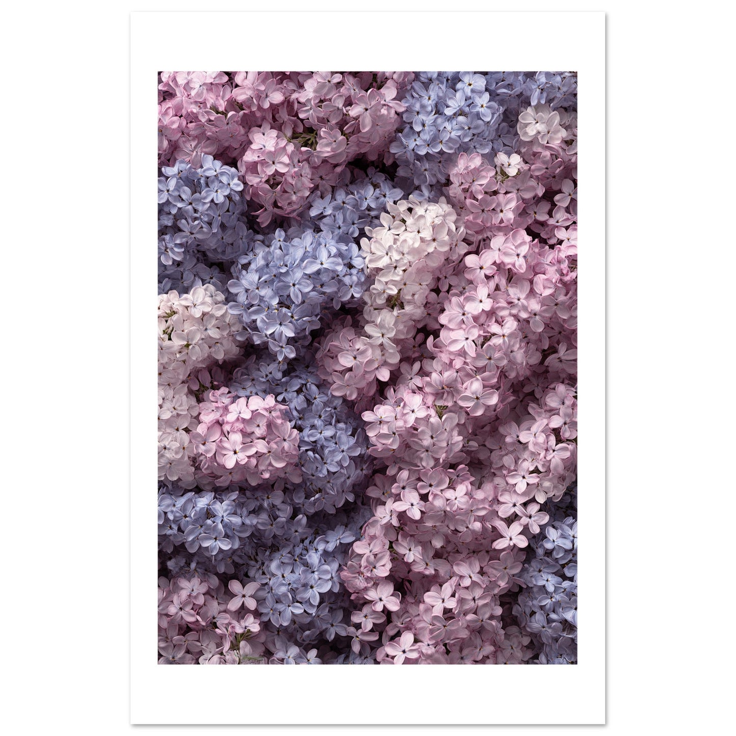 d7782b7a-e7b0-4afc-bdb4-fc38ea3a2f2b