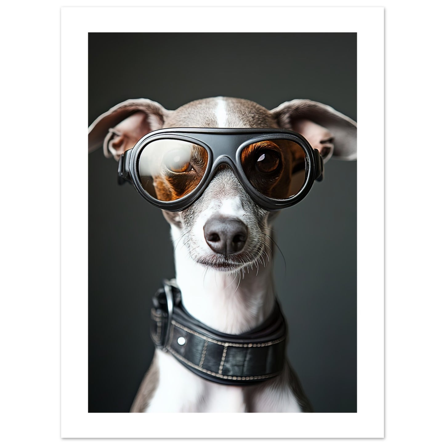 d84524e3-af65-49f8-bc87-9d5020d1b23f