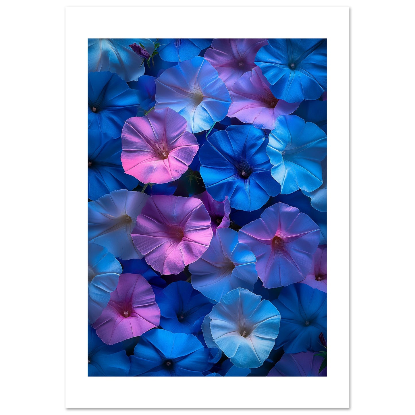 d8bd6e9e-85ca-4435-ba69-a6c80ca47333