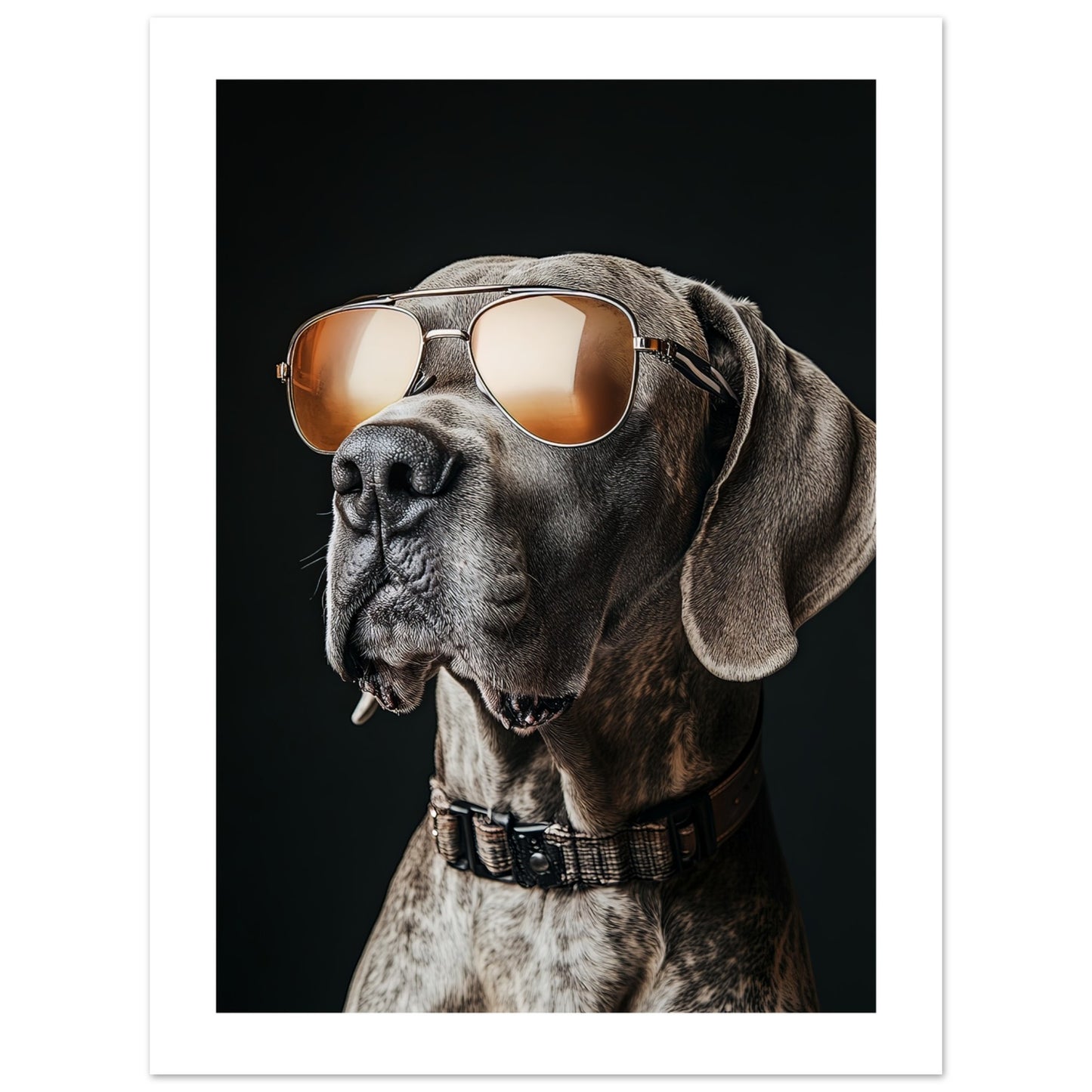 d9ca1632-ba5b-408e-a187-a0f4a8a7c7f5