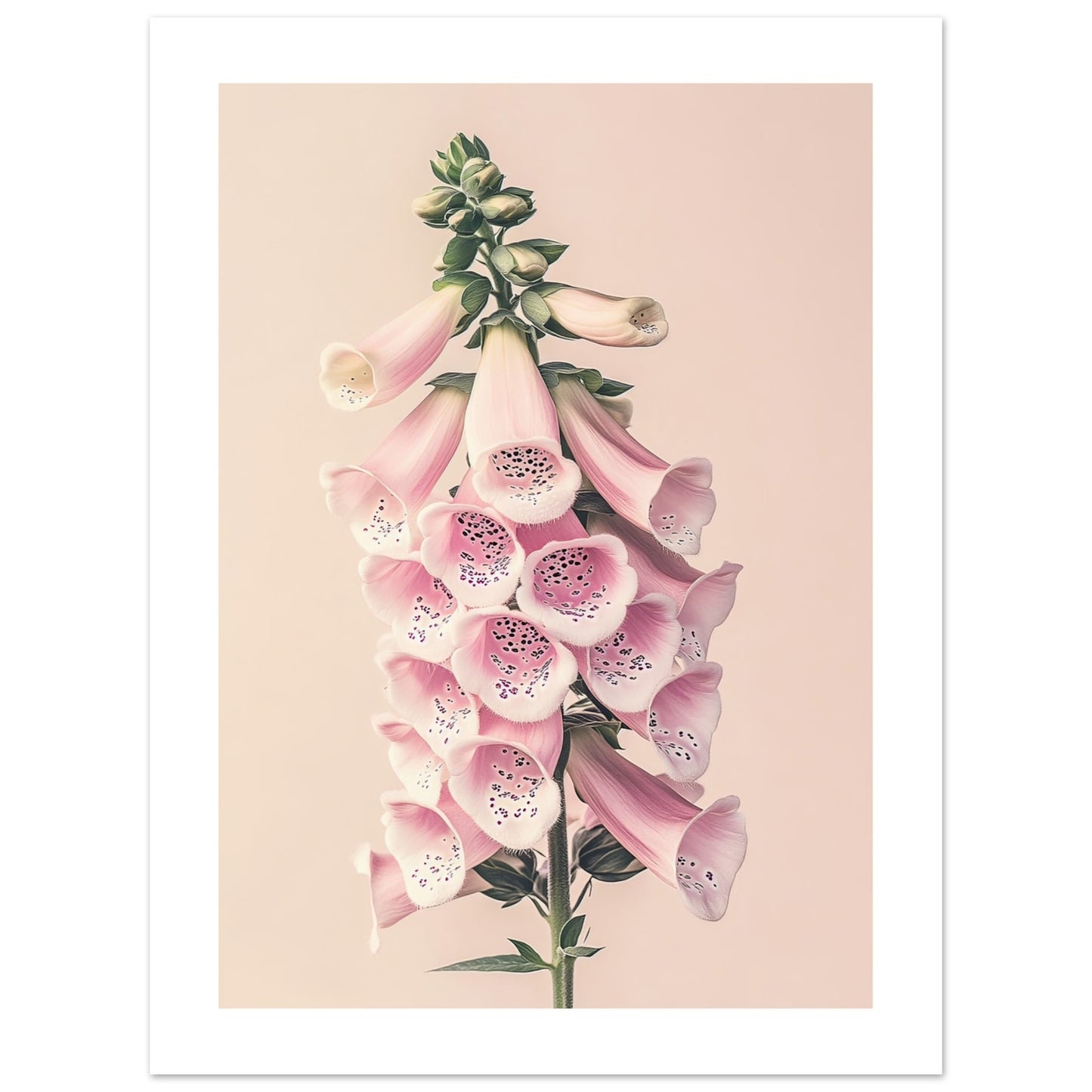 dce07345-8dd1-4bd2-958b-7360148ab16f