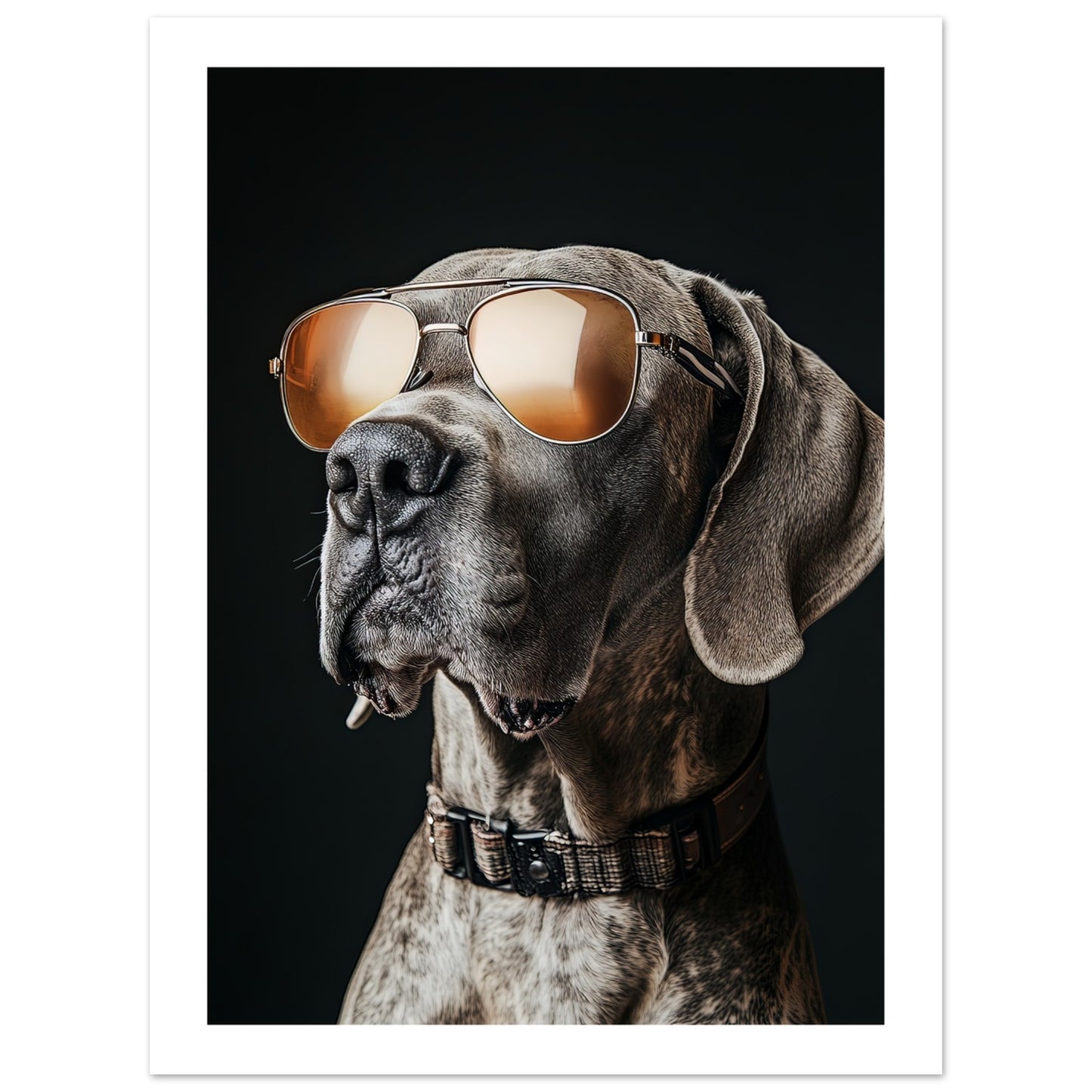 ddda84f5-6bda-44c7-8f1b-1964899013fe