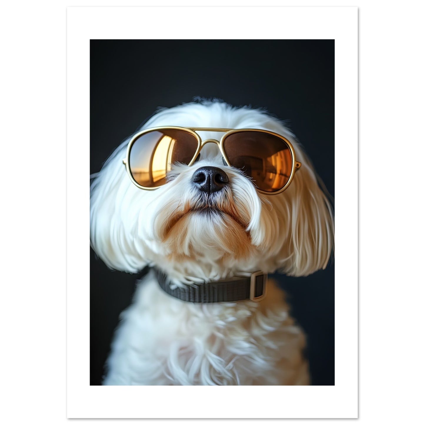 ddfbcfc0-7129-4f4b-99d6-4c0e0cd54764