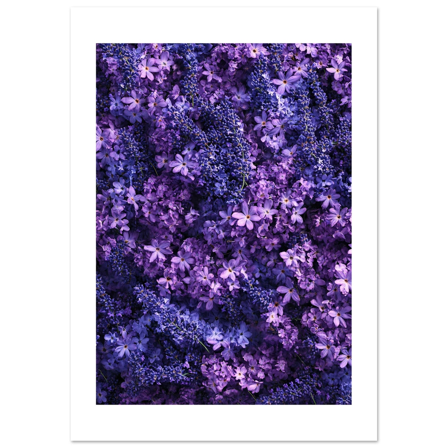 e276b82b-eded-4a4f-bd3c-8b01b0b6de34