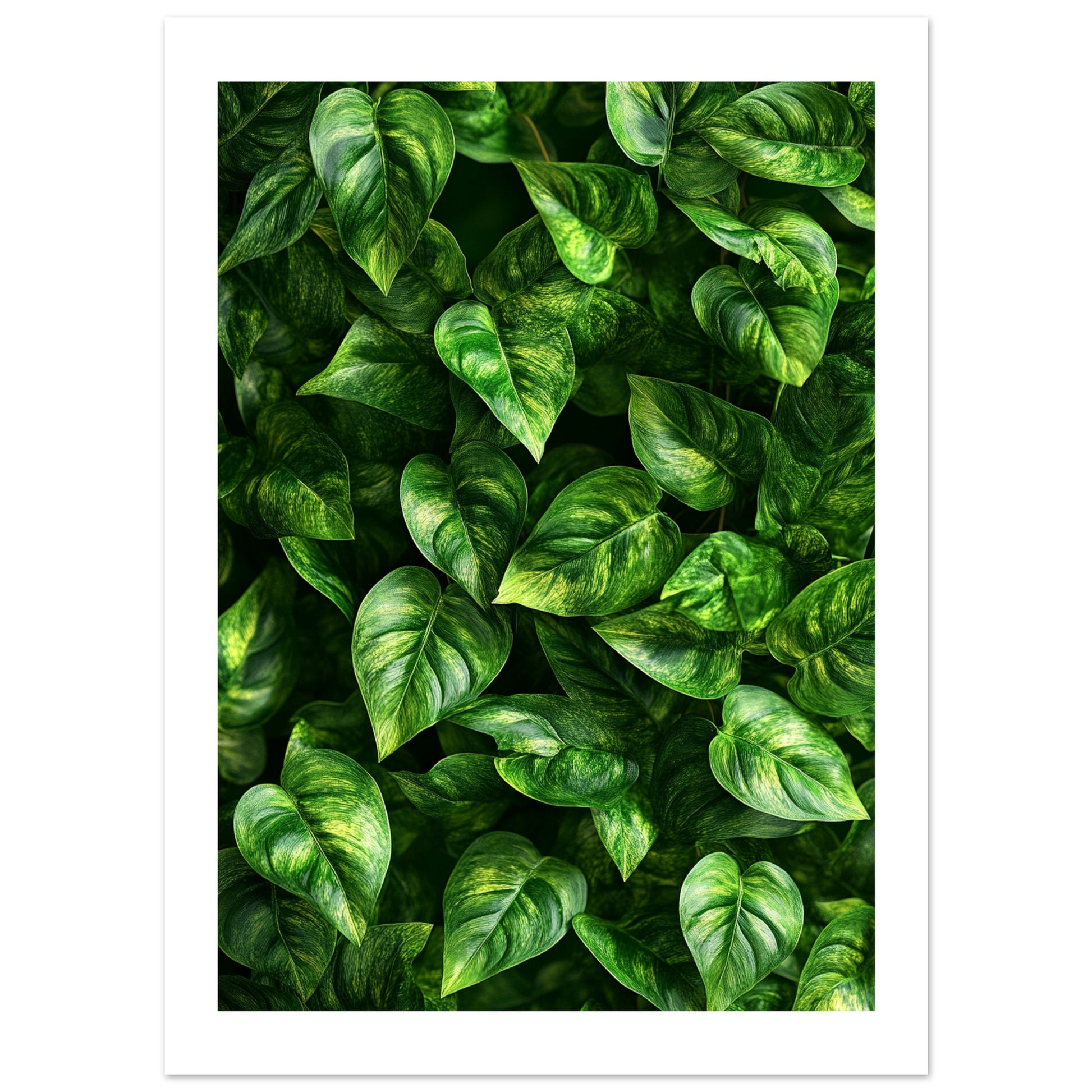 pothos poster Vibrant Pothos Plant Poster for Lush Home Decor – Posters One Hundred