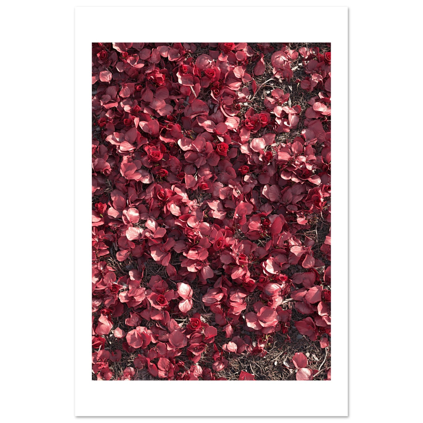 ebb01593-407d-432c-bb25-cb324e931f6e