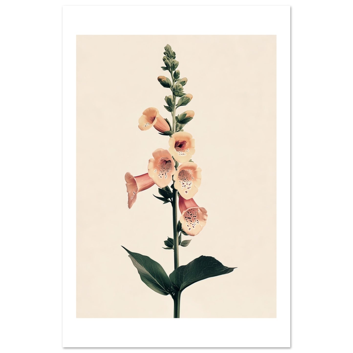 f7a41ea2-0ca0-4ec6-98e7-a31151fd2877