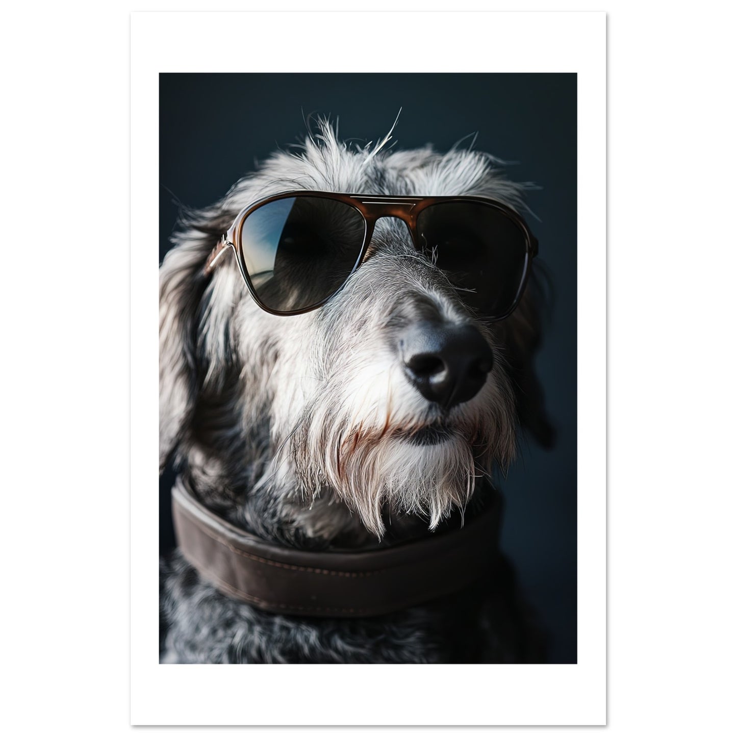 f7b712ad-7112-4e26-b99e-4395000cafd9