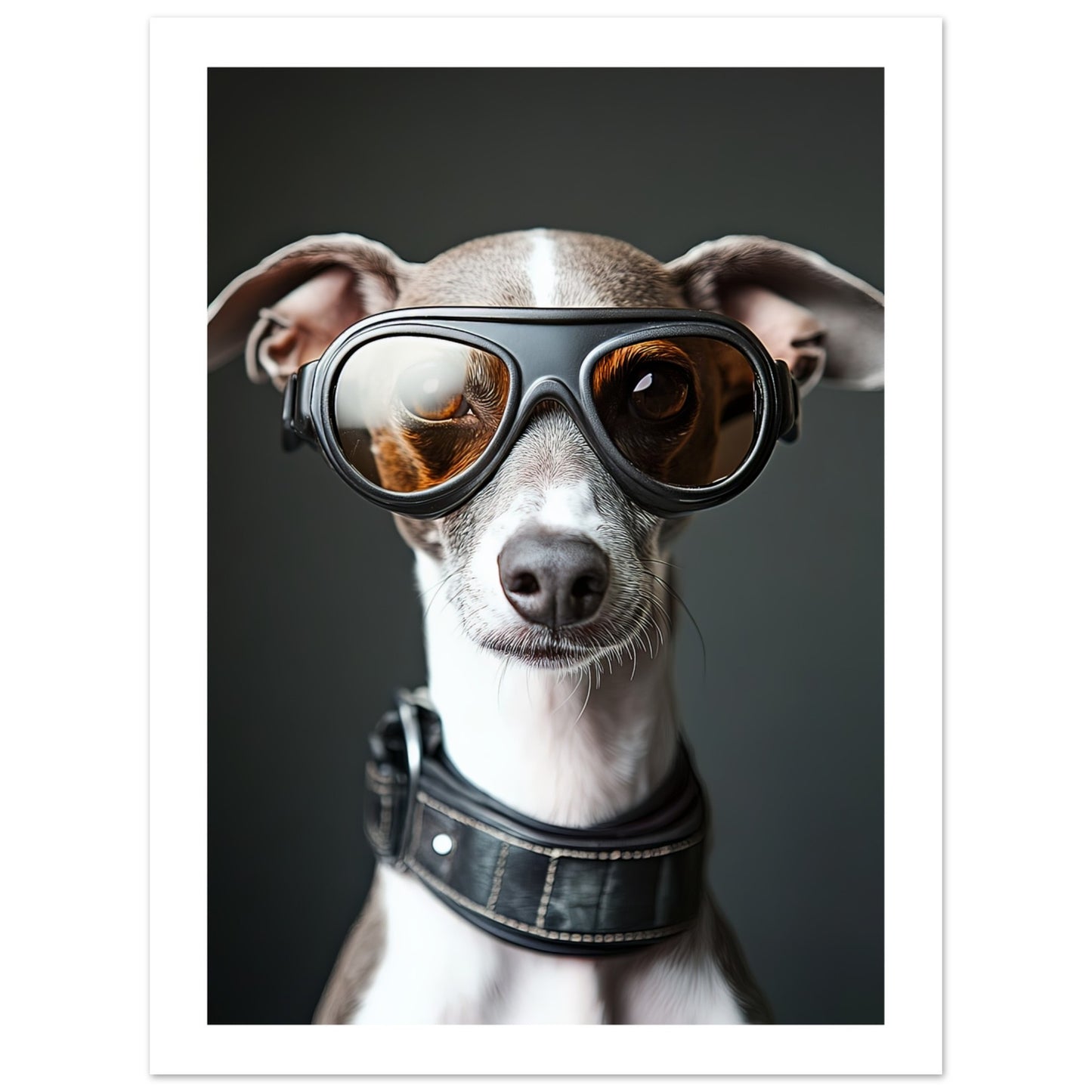 fb0617df-2ae2-4d4c-8dc9-2b7888b2356c