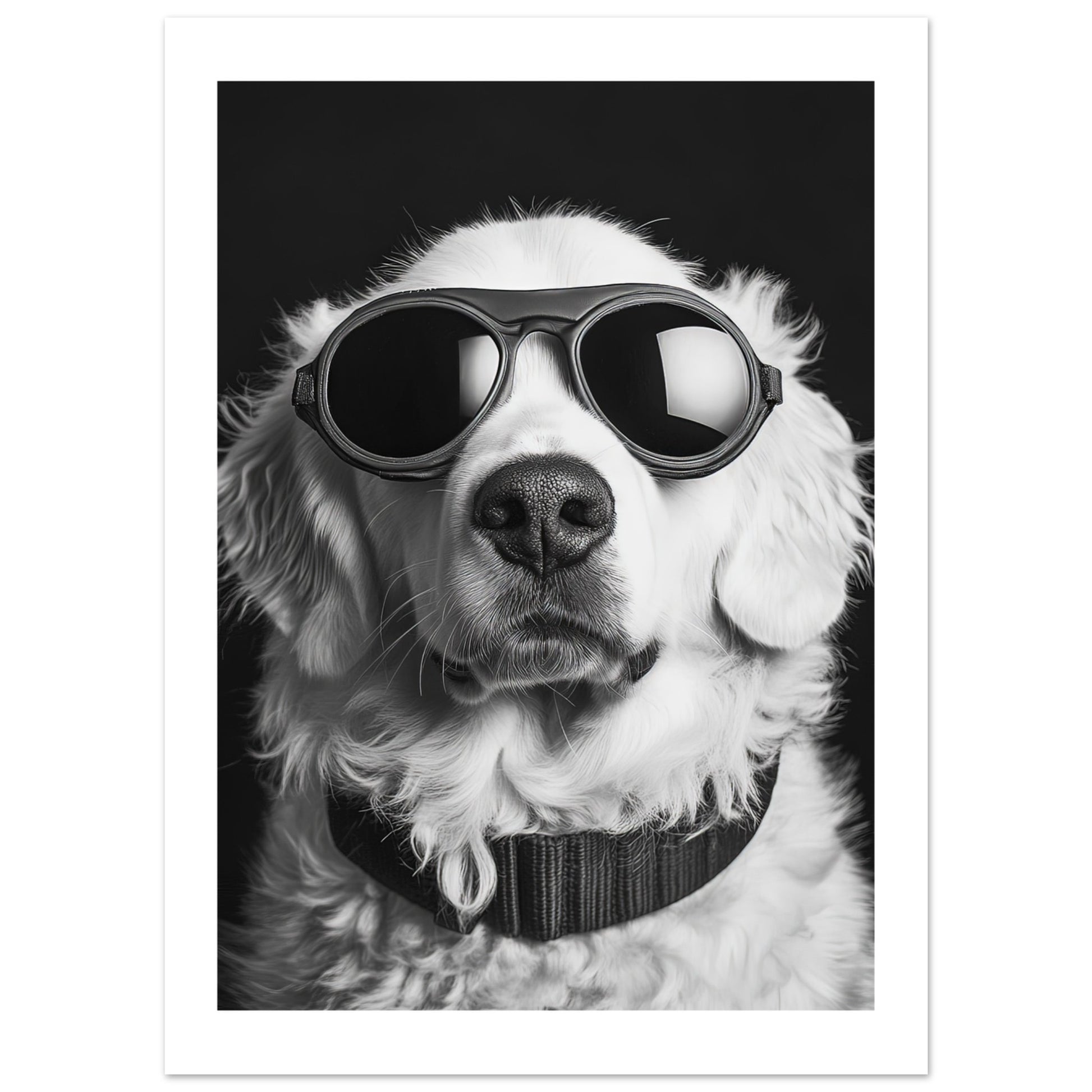 fff3b2f9-54d2-4794-8e3d-44ee4d8cca1e